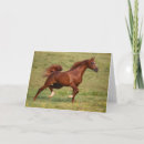 Search for mane cards Animal