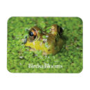 Search for tadpole magnets Amphibian
