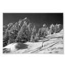 Search for courchevel posters French alps