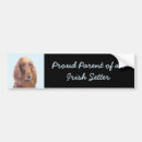 Search for irish bumper stickers Dog