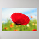 Search for beautiful spring posters Plant