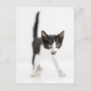 Search for stuff shot photography Baby animals