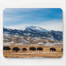 Search for migrator electronics Herd