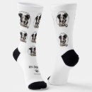 Search for the best dad socks Pet photo