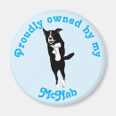 Search for leaping magnets Cute