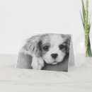 Search for cavalier king charles spaniel cards Cute