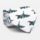 Search for fighter jet ties Air force