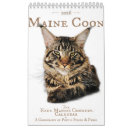 Search for maine coon office school Cat lover