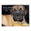 Search for mastiff calendars Puppies