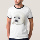 Search for seal clubbing tshirts Peta