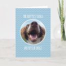 Search for dog adoption cards Rescue