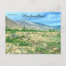 Search for newfoundland postcards Maritimes