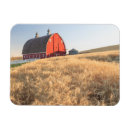 Search for wheat cards Field