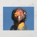 Search for ugly postcards Nature