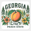 Search for vintage georgia stickers Peach