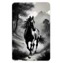 Search for equine magnets Nature