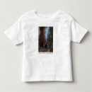 Search for big tree clothing States