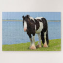Search for draft horse Irish cob