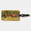 Search for horse luggage tags Nature