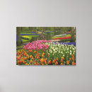 Search for keukenhof Park