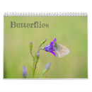Search for macro office supplies Butterflies