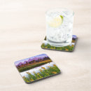 Search for home on range coasters Nature