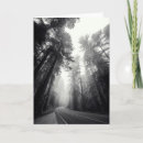 Search for sequoia cards Grove