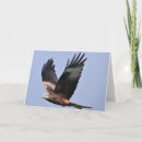 Search for wales cards Red