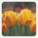 Search for horticulture stickers Botany