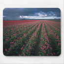 Search for glow in the dark mousepads Pink