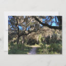Search for photograph note cards Trees
