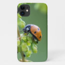 Search for little ladybug iphone cases Beetle