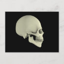 Search for temporal bone Anatomy