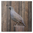 Search for barn board home decor Wood