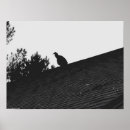 Search for vulture posters Black and white