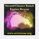 Search for non profit magnets Rescue