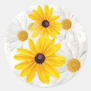 Search for black eyed susan flower stickers Daisy