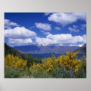 Search for wakatipu posters Landscape