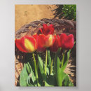 Search for tulip art Rustic