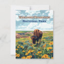 Search for dakota cards Theodore roosevelt national park
