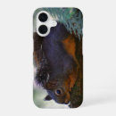 Search for squirrel photo iphone cases Squirrels