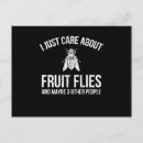 Search for pests postcards Flies