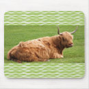 Search for highland cattle electronics Moo