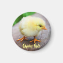 Search for rules magnets Chicken