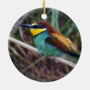 Search for feathers christmas tree decorations Turquoise