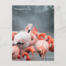 Search for smithsonian postcards Bird