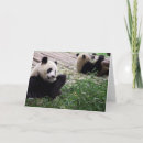 Search for element photography Elements