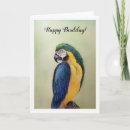 Search for bird pun cards Parrot