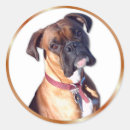 Search for purebred stickers Puppy