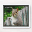Search for funny squirrel electronics Nature